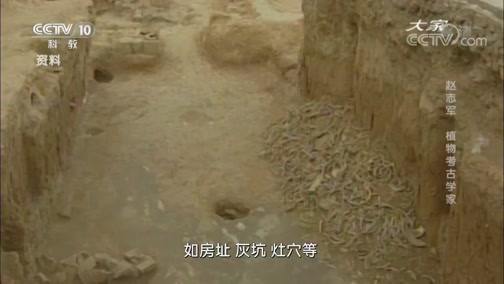 《大家》 20190911 植物考古学家 赵志军