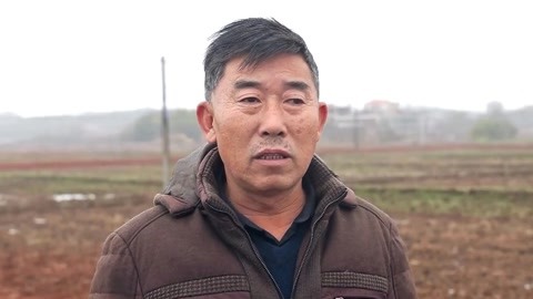 省建设高标准农田 新政策鼓励人们回乡创业