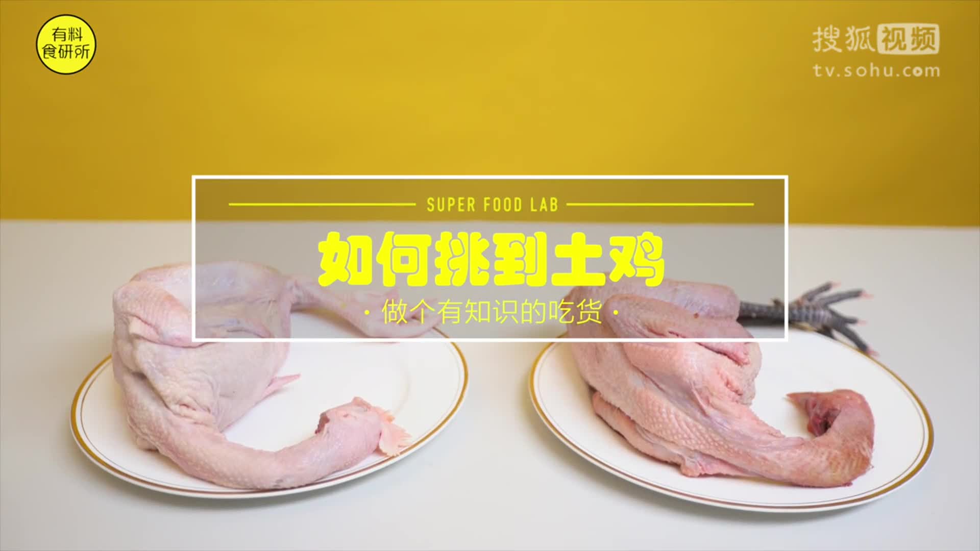 学会这样挑土鸡，再也不怕花冤枉钱买到假土鸡