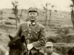 蒋介石与桂军抗战：日军大将被击毙，白崇禧鼓动杜聿明