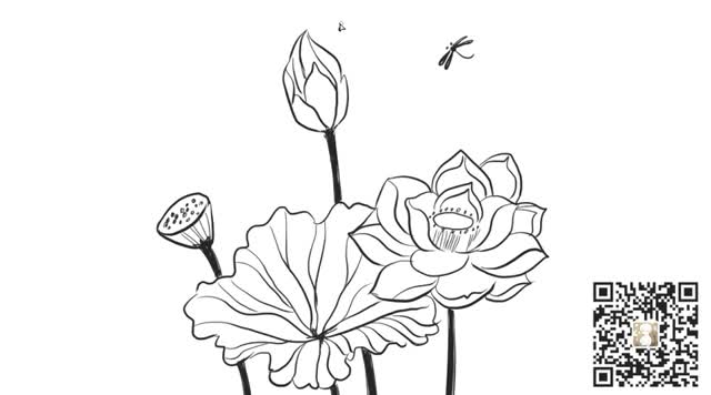 [小林画的]漂亮的含苞待放的荷花与蜻蜓儿童亲子卡通线稿简笔画