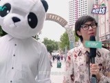 澳洲人到底爱小鲜肉