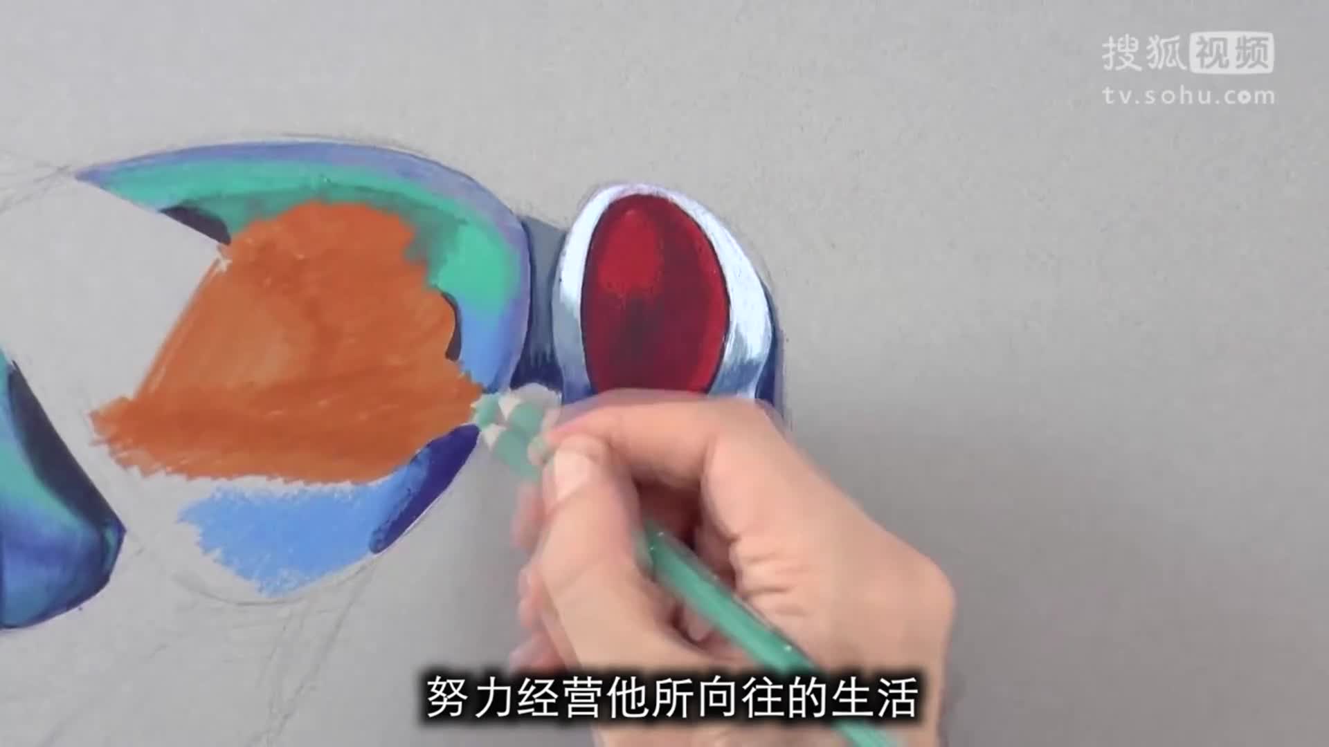 彩铅画一只苍蝇，还原度100%