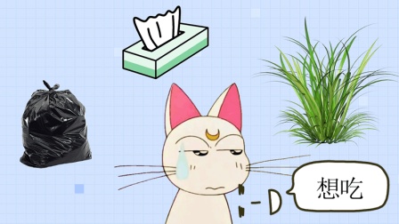 毛球症会引发猫咪死亡 铲屎官们要注意了