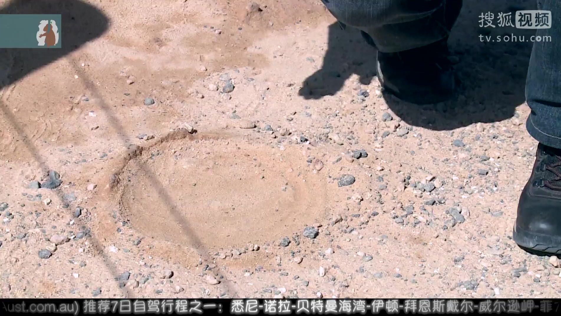 《环澳四万里》第十集:木化石没来 白菜却走了