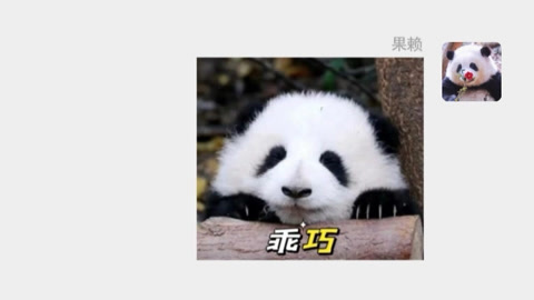 假如大熊猫有个群（1）