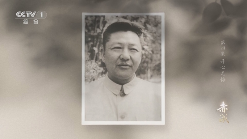 《赤诚》 第4集 丹心无悔
