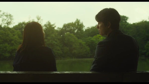 《布拉芙夫人》全集-高清电影完整版-在线观看