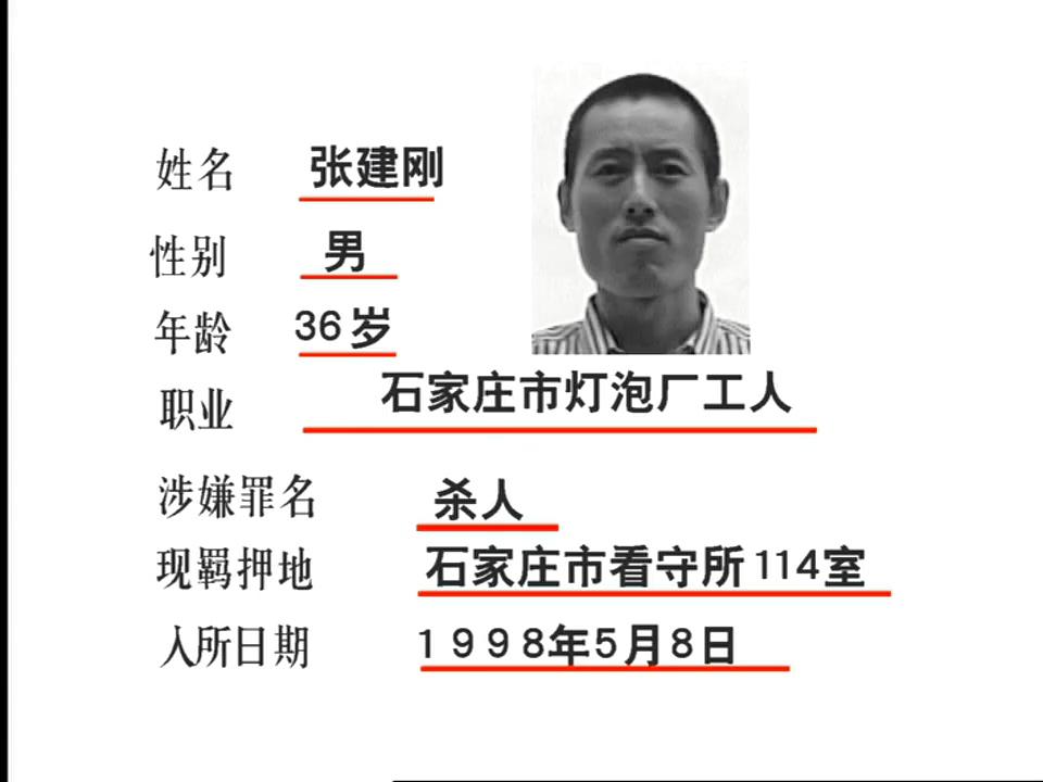 命案十三宗图片