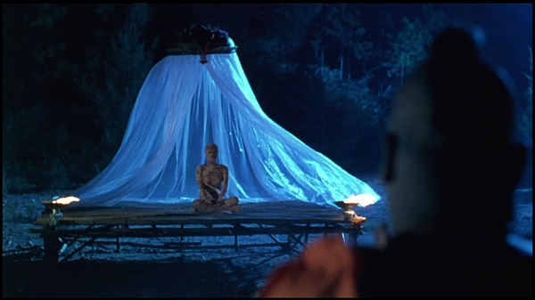 《血胎换骨》全集-高清电影完整版