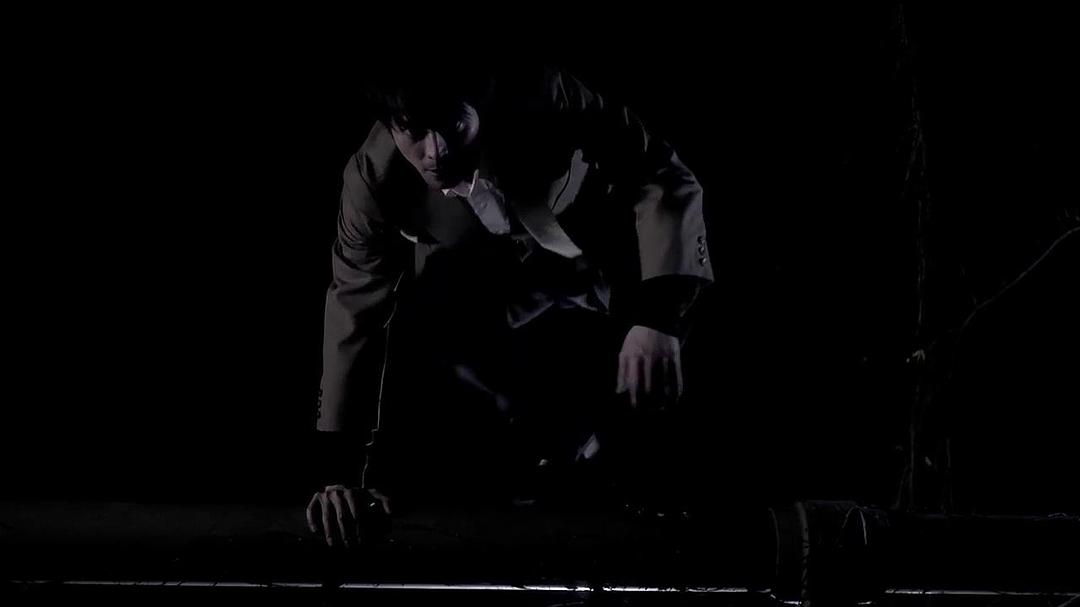 屋顶的散步者(2016)