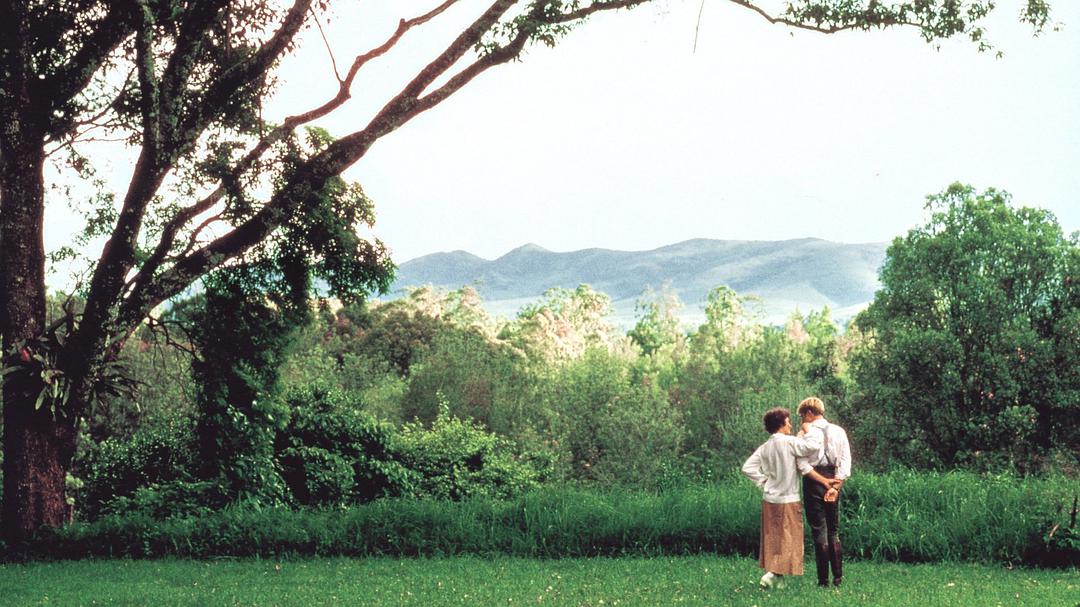 《走出非洲》全集-高清电影完整版-在线观看-搜狗影视