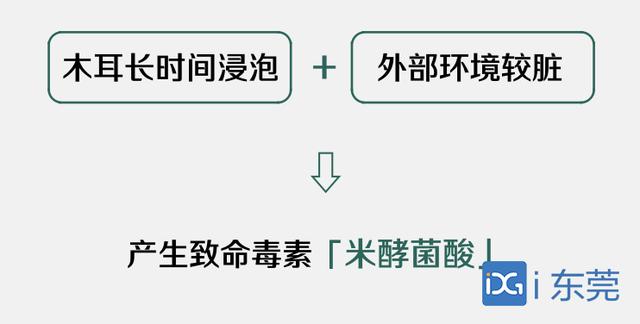 隔夜木耳害死人