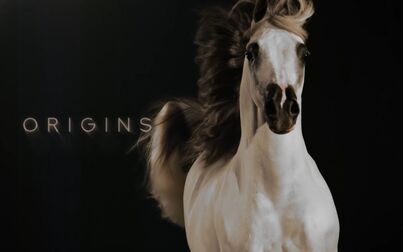 [图]【PBS】马的故事 全3集 Equus Story Of The Horse (2019)