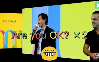 [图]风靡全网之雷军Are you OK原版 [高清+中英双语字幕]