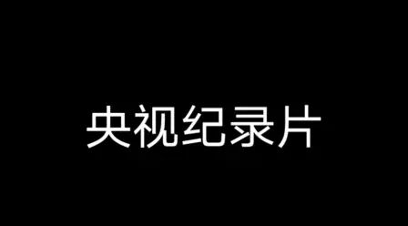 [图]央视纪录片《枪·冲锋枪》