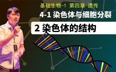 [图]基础生物学4-1.2 染色体的结构