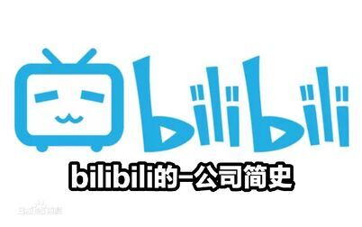 [图][公司简史-bilibili篇(上)]徐逸创建二次元平台的成功之路-字幕伺候