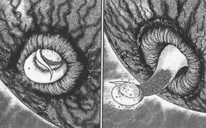 [图]【地狱星】真羡慕娜美星,怎么吃都不会长胖 ‖ 伊藤润二的地狱星系...