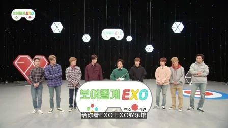 [图]EXO【给你看EXO】中字合集