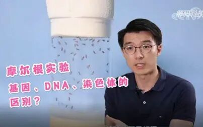 [图]基因、DNA、染色体的区别