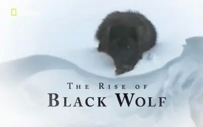 [图][英字/自压] 黑狼的崛起.The Rise Of Black Wolf Documentary (FULL)