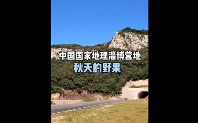 [图]【中国国家地理淄博营地】秋天的野果