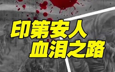 [图]美国黑历史——建国两百年来的背后 是印第安人的血泪之路