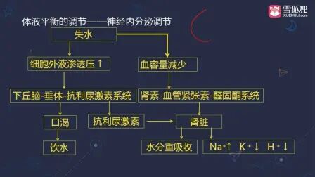 [图]外科护理学考点精简