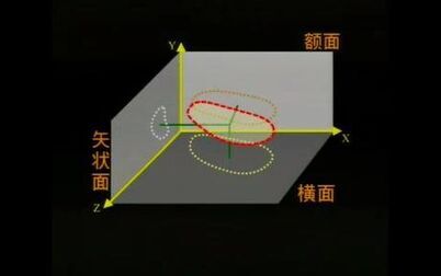 [图]心电图检查