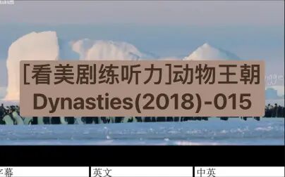 [图][看美剧练听力]动物王朝Dynasties(2018)-015