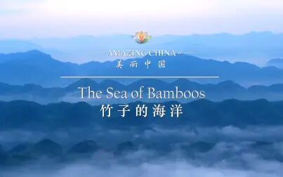 [图]《美丽中国 竹子的海洋》-The Sea of Bamboo