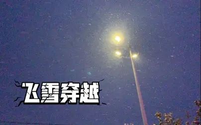 [图]当大雪遇到原野追逐