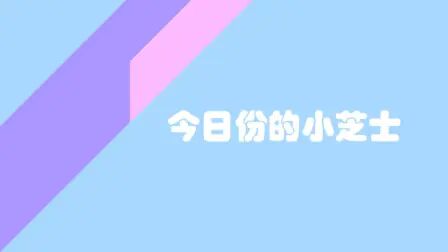 [图]今日份的小芝士·王充撰写《论衡》