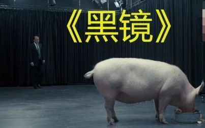 [图]【亮哥】豆瓣9.3分的神剧《黑镜》第一季,人性的丑恶是不能被试探的