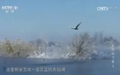 [图]《自然的力量》第三集 水流 CCTV纪录