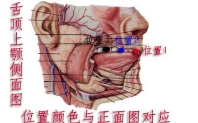 [图]真气运行法精粹篇