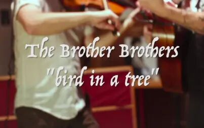 [图]【The Brother Brothers】Bird In A Tree