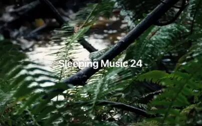 [图]Sleeping Music 24 小河流水