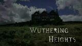 [图]【音乐】Ruth Barrett - Wuthering Heights 2009