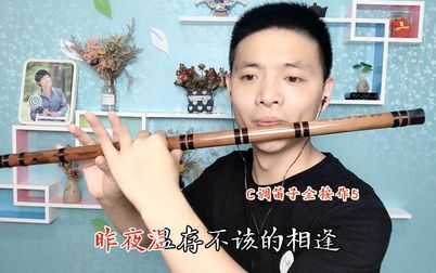 [图]李翊君经典歌曲《多情人都把灵魂给了谁》笛子版,催泪的情歌!