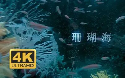 [图]【4K修复】周杰伦 梁心颐 - 珊瑚海 MV