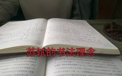 [图]书法理论 之 苏轼的书法理念 《中国书法批评史》《中国书法理论纲要》