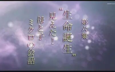 [图]NHK人体系列 第六集 生命的诞生