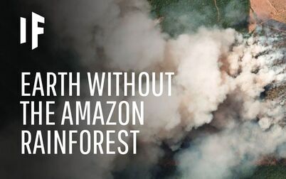 [图]What If We Lost The Amazon Rainforest