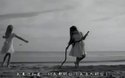 [图]【035】HD-迎风展翅--Wind Beneath My Wings-中英字幕