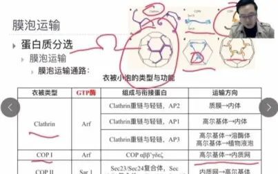 [图]细胞信号传导精讲 Advanced version_Cell 04