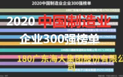 [图]2020中国制造业企业300强榜单-数据可视化