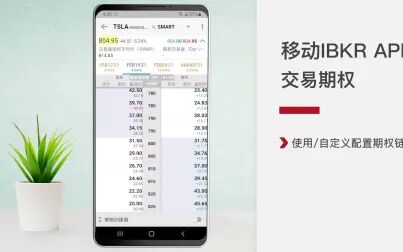 [图]【盈透视频课程】移动IBKR APP安卓系统之交易期权