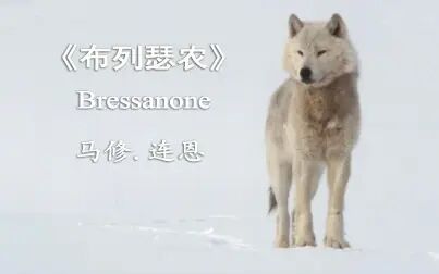 [图]《布列瑟农》Bressanone竖版